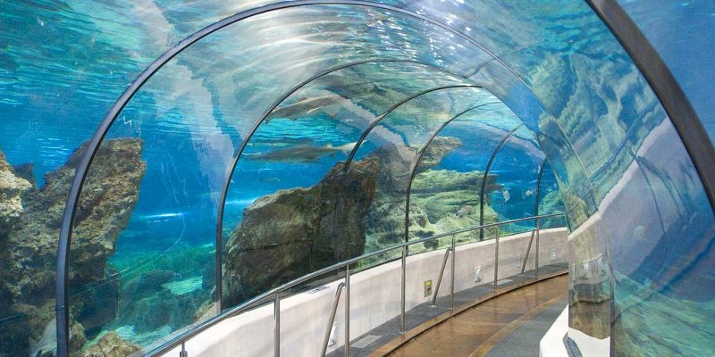 Аквариум Барселоны – подводное царство