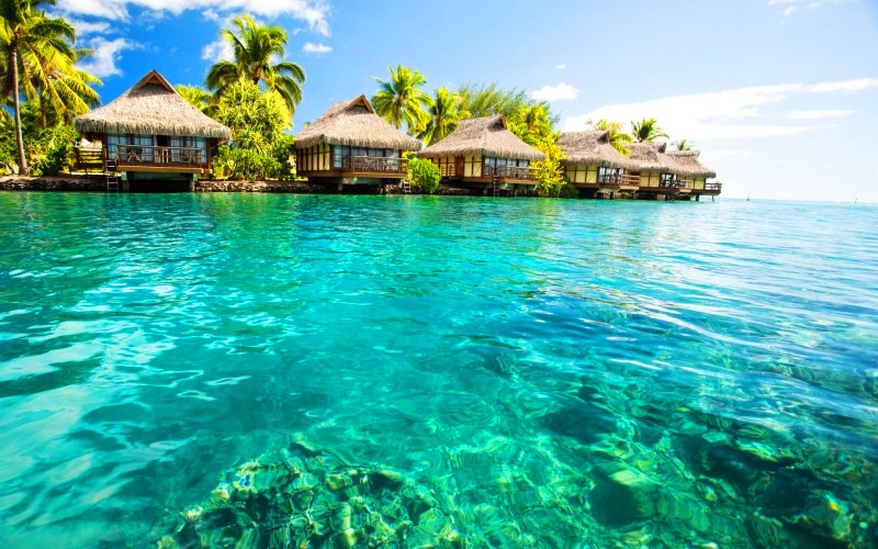 Багамские острова – живой Рай на Земле