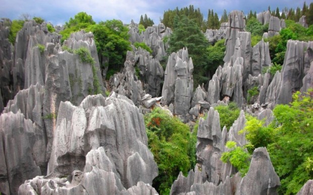 Интересные места мира: каменный лес, Китай 