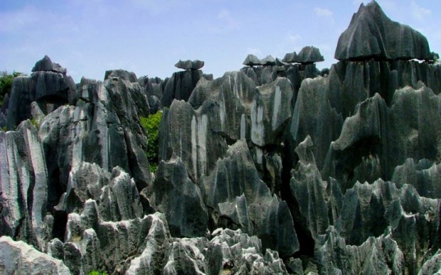 Интересные места мира: каменный лес, Китай 