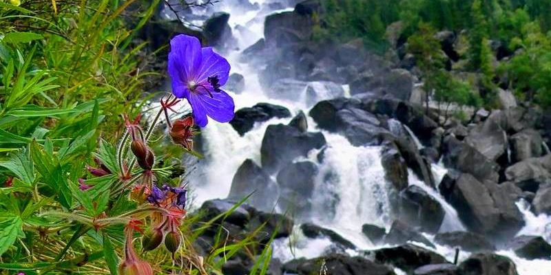 Красота горного Алтая: Телецкое озеро и Чульчинский водопад