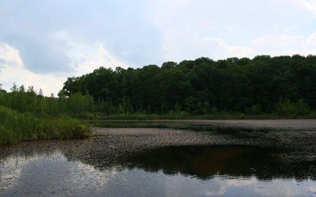 Мистические озера Украины, рыбалка и отдых