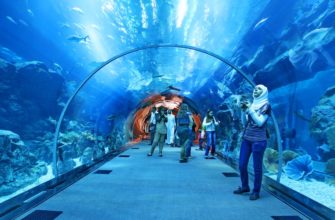 Отдых в ОАЭ: Аквариум в «Дубай Молл»