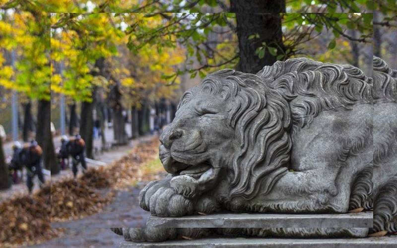 Путешествие в город льва – Львов