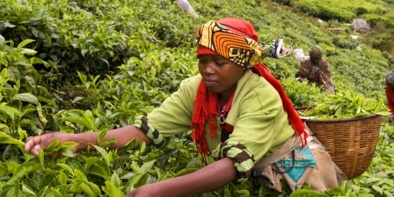 Руанда: интересные места и достопримечательности