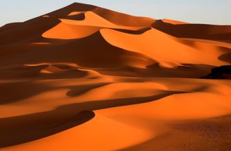 Самая большая пустыня в мире