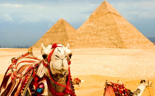 Что привезти из Египта? Отдых в Африке